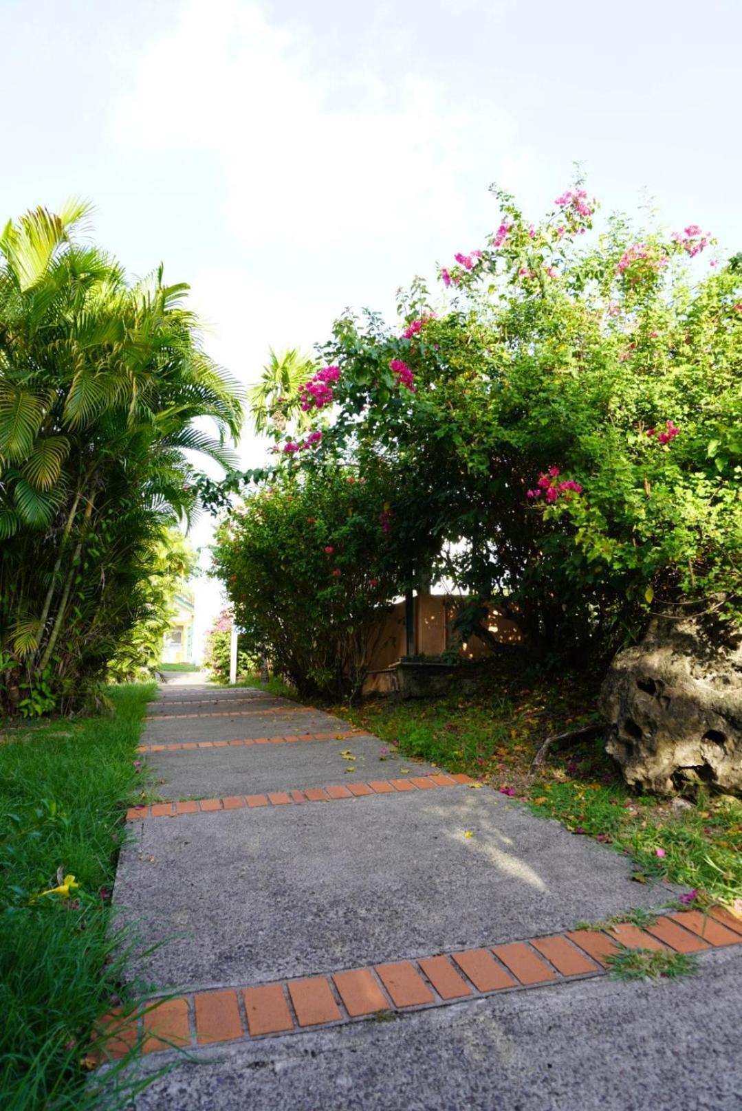 T2 Spacieux, Confort, Piscine & Plage A Sainte-Anne Luaran gambar